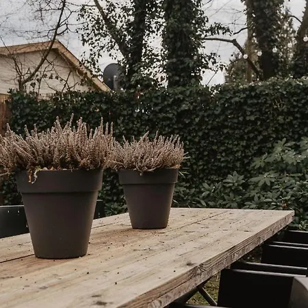 Privesauna 33 Prázdninový dům *