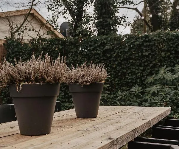 Privesauna 33 Сasa de vacaciones *